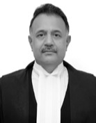 Hon'ble Shri Justice R.S. Jha photo