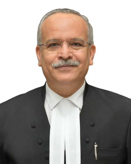 Hon'ble Shri Justice Satish Chandra Sharma photo