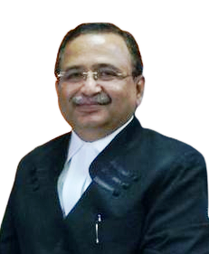 Hon'ble Shri Justice Alok Aradhe photo