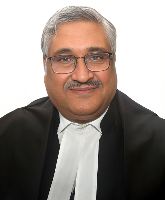 HON'BLE SHRI JUSTICE VIVEK AGARWAL photo