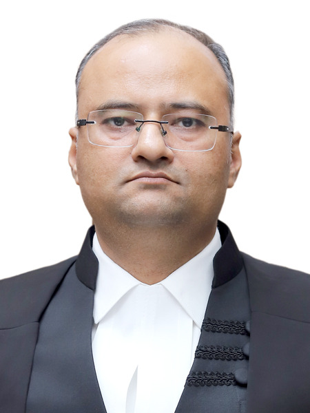 HON'BLE SHRI JUSTICE VIVEK JAIN photo